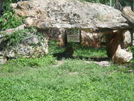 jaguar1_thumb.jpg