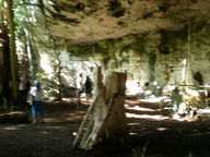 dscn0811_thumb.jpg