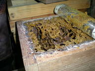 dscn0819_thumb.jpg