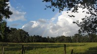 img_3321_thumb.jpg