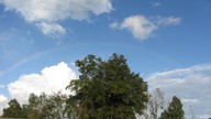 img_3325_thumb.jpg