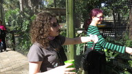 img_3382_thumb.jpg