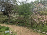 pxl_20240406_173657472_thumb.jpg