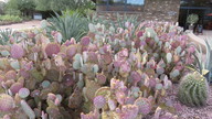 img_2653_thumb.jpg