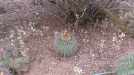 img_2661_thumb.jpg
