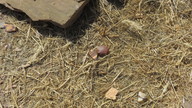 img_2141_thumb.jpg