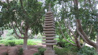 img_2722_thumb.jpg