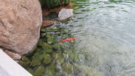 img_2725_thumb.jpg
