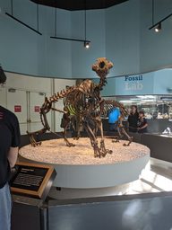 pxl_20231006_214912592_thumb.jpg