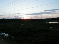 moose_sunset_thumb.jpg