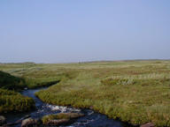 site2_thumb.jpg
