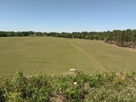 pxl_20240405_161337955_thumb.jpg