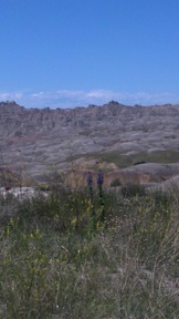 2012-06-21_13-34-52_490_thumb.jpg