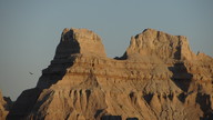 img_1873_thumb.jpg