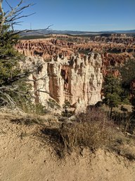 pxl_20231013_160521263_thumb.jpg
