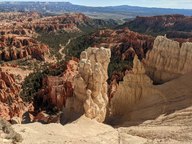 pxl_20231013_165312029_thumb.jpg