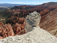pxl_20231013_171140452_thumb.jpg