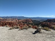 pxl_20231013_171411191_thumb.jpg