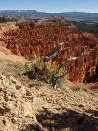 pxl_20231013_172420780_thumb.jpg