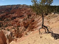 pxl_20231013_181730016_thumb.jpg