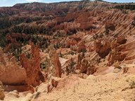 pxl_20231013_181821567_thumb.jpg