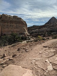 pxl_20231014_165640530_thumb.jpg