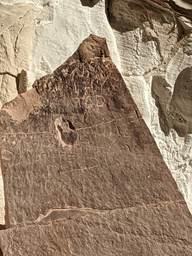 pxl_20231014_180044912_thumb.jpg