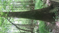 img_3224_thumb.jpg