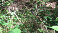 img_3227_thumb.jpg