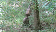 img_3233_thumb.jpg