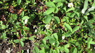img_2318_thumb.jpg