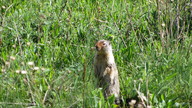 img_2327_thumb.jpg