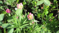 img_2329_thumb.jpg