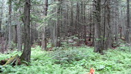 img_2621_thumb.jpg