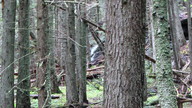img_2622_thumb.jpg