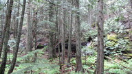 img_2623_thumb.jpg