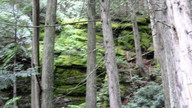 img_2627_thumb.jpg