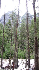 img_2637_thumb.jpg