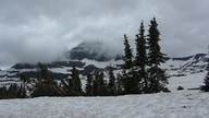 img_2568_thumb.jpg