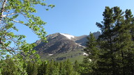 img_2294_thumb.jpg