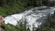 img_2298_thumb.jpg