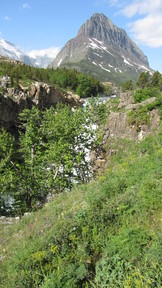 img_2305_thumb.jpg