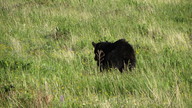 img_2482_thumb.jpg