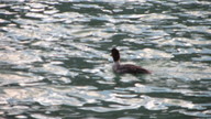 img_2493_thumb.jpg