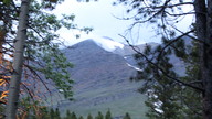 img_2501_thumb.jpg