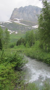img_2507_thumb.jpg