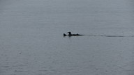 img_2599_thumb.jpg