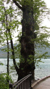 img_2607_thumb.jpg