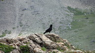 img_2393_thumb.jpg