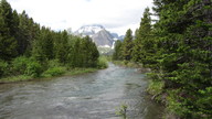 img_2430_thumb.jpg